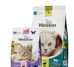 Изображение дизайна упаковки бренда wellkiss